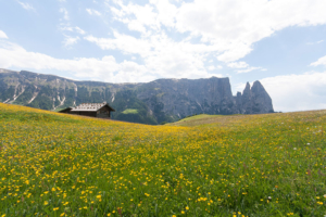 Almhütte auf der Seiser Alm mit dem Schlern und Santner