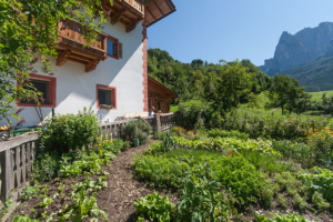 Gemüsegarten am Puntschiedhof